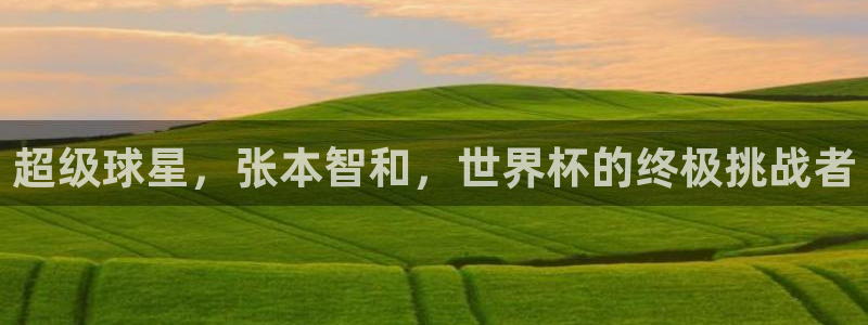 2026世界杯:超级球星,张本智和,世界杯的终极挑战者