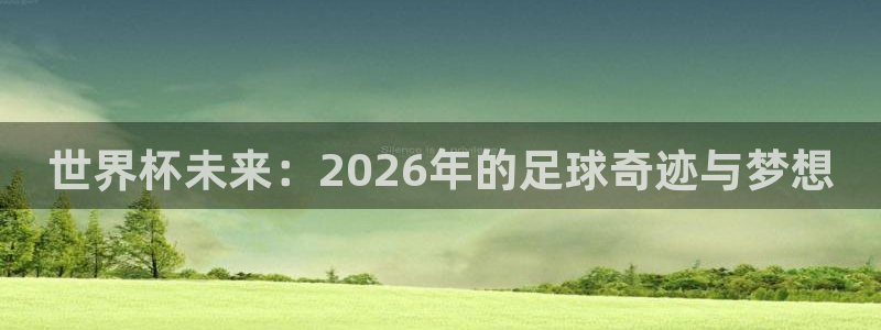 2026男足世界杯赛程:世界杯未来:2026年的足球奇迹与梦想