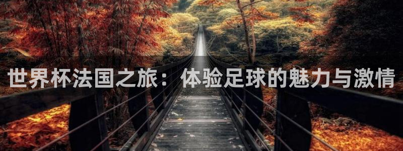 世界杯直播在线观看入口:世界杯法国之旅:体验足球的魅力与激情