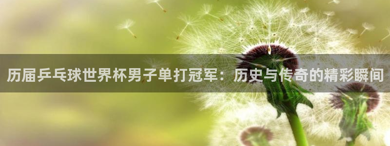 世界杯欧洲预选赛赛程:历届乒乓球世界杯男子单打冠军:历史与传奇的精彩瞬间