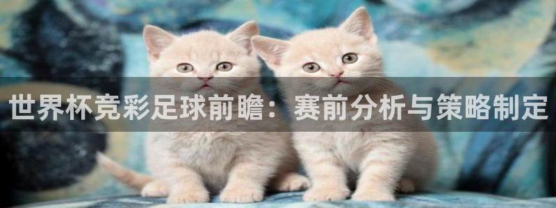 2026世界杯买球:世界杯竞彩足球前瞻:赛前分析与策略制定