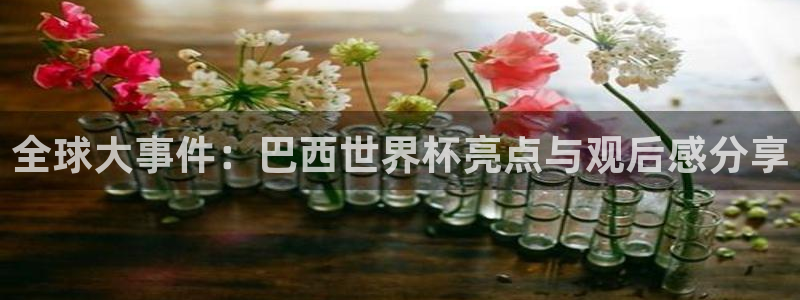 世界杯官网:全球大事件:巴西世界杯亮点与观后感分享