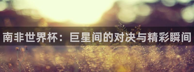 免费足球比赛直播高清:南非世界杯:巨星间的对决与精彩瞬间