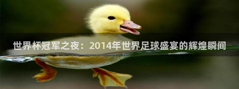 2026年足球世界杯赛程时间表:世界杯冠军之夜:2014年世界足球盛宴的辉煌瞬间