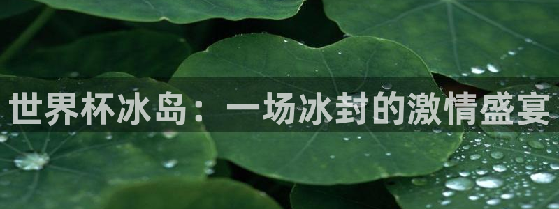 2006世界杯:世界杯冰岛:一场冰封的激情盛宴