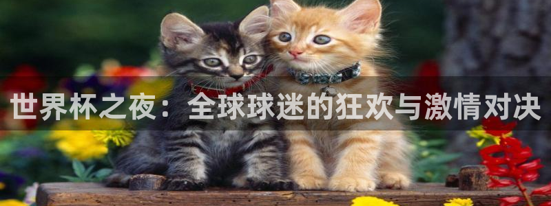世界杯直播高清:世界杯之夜:全球球迷的狂欢与激情对决