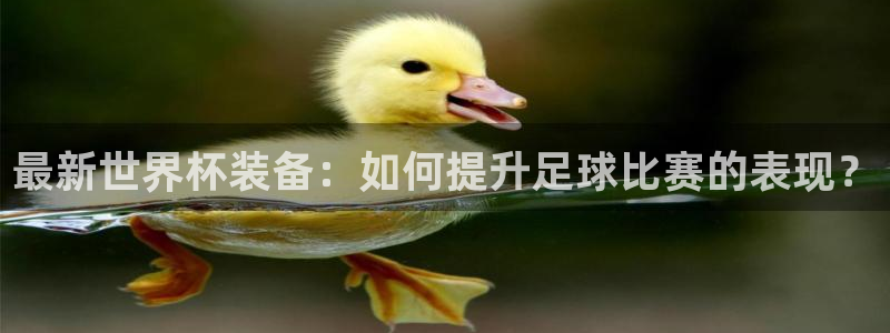 足球比分直播世界杯:最新世界杯装备:如何提升足球比赛的表现?